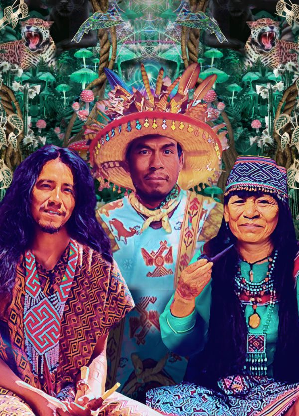 Image of three indigenous plant spirit healers