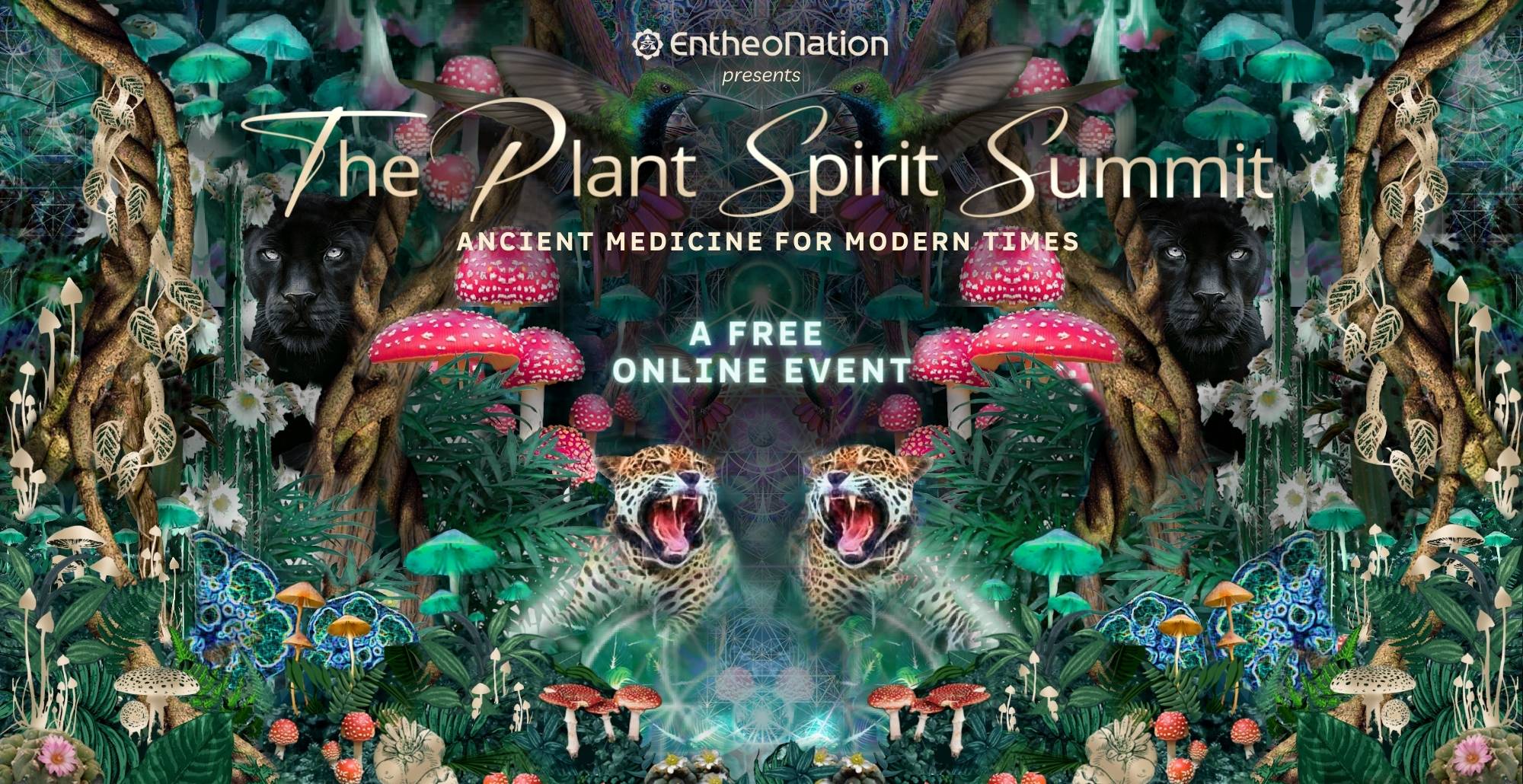 Plant Spirit Summit evergreen